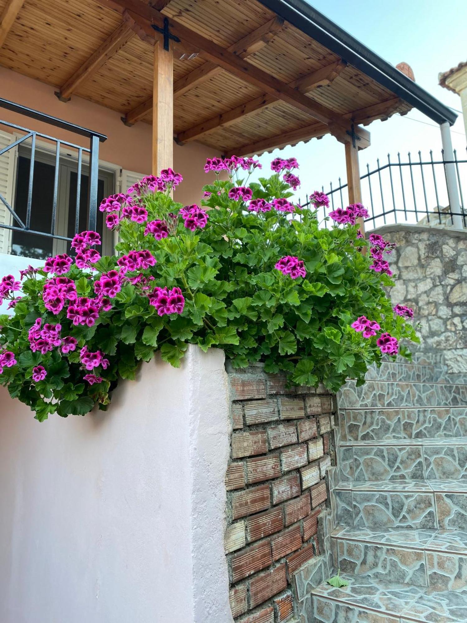 히마레 Gkoros House Old Town 빌라 외부 사진